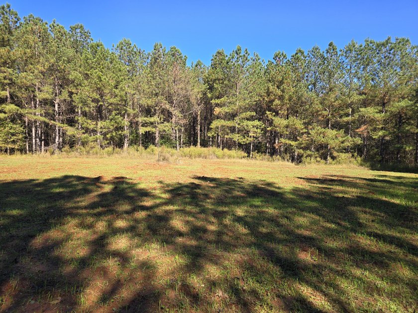 Build your dream home on this beautiful 76.24-acre property in - photo 38