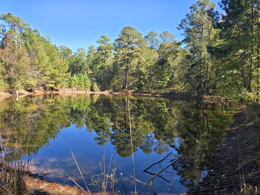 Build your dream home on this beautiful 76.24-acre property in - photo 39