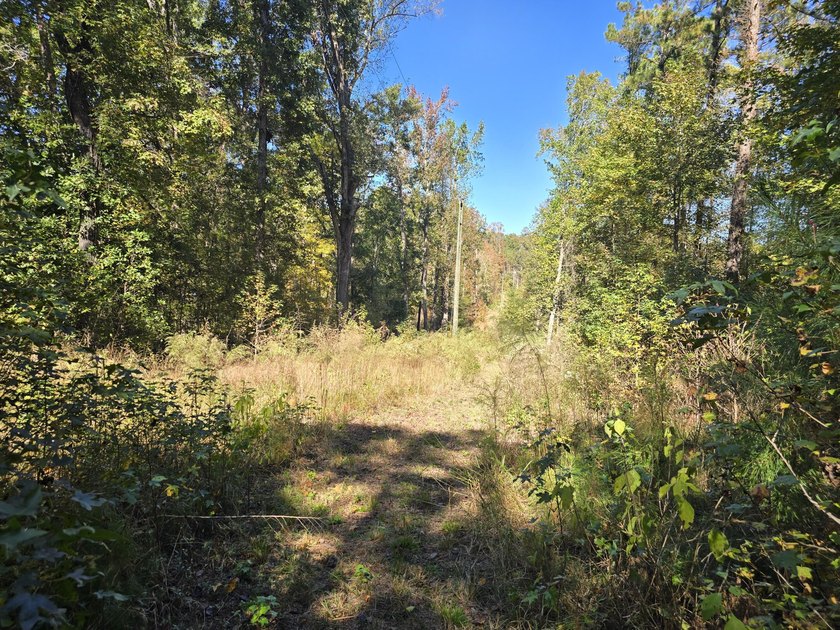 Build your dream home on this beautiful 76.24-acre property in - photo 41