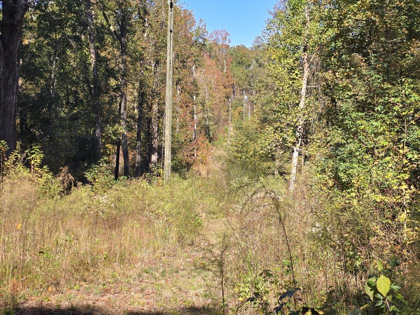 Build your dream home on this beautiful 76.24-acre property in - photo 43