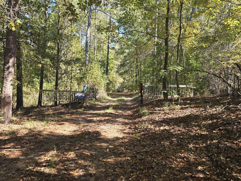 Build your dream home on this beautiful 76.24-acre property in - photo 47