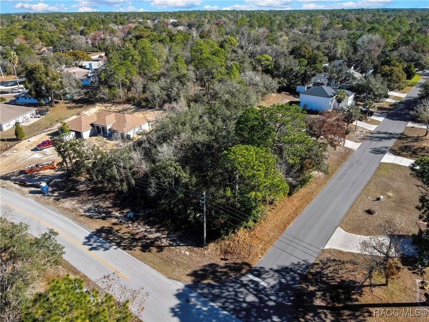 Nice corner lot property .28 of an acre is located in Sugarmill - photo 3