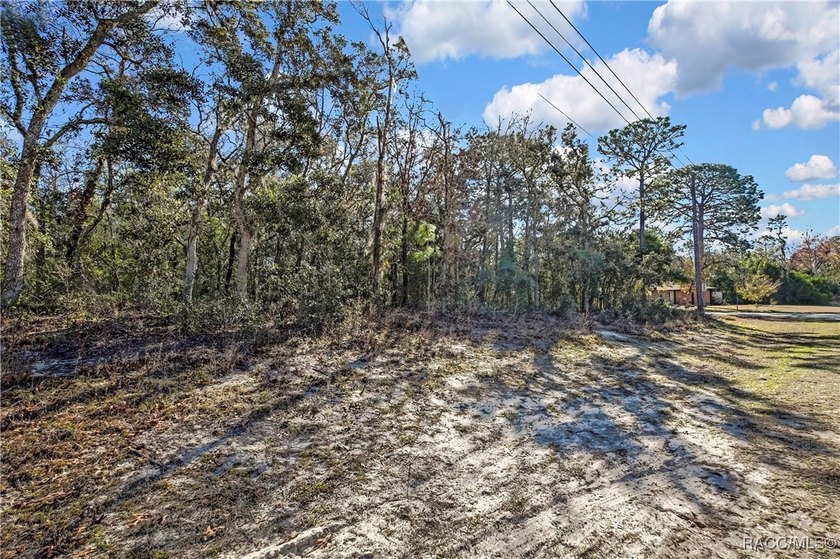 Nice corner lot property .28 of an acre is located in Sugarmill - photo 5