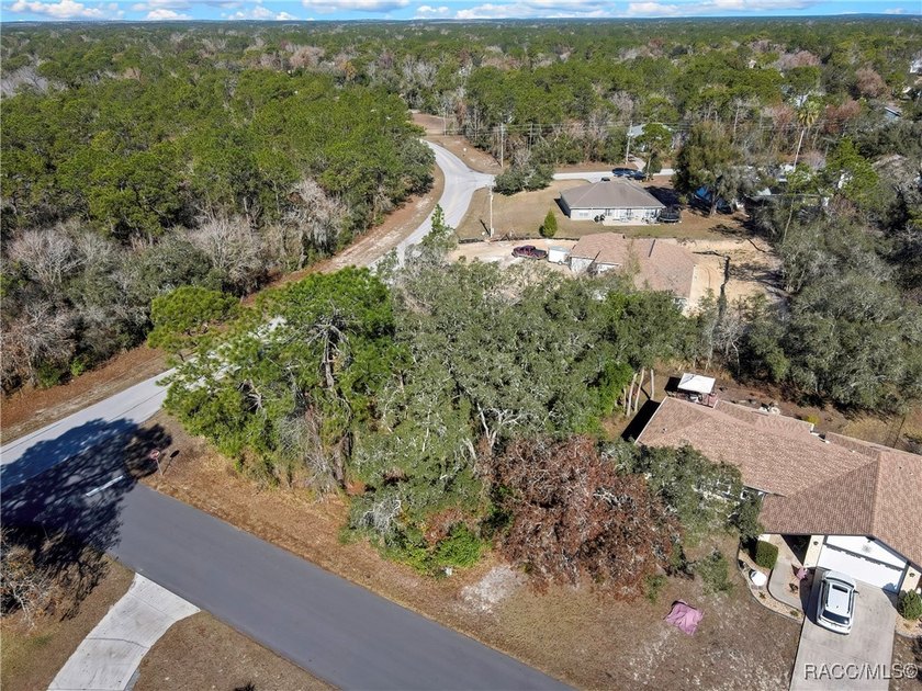 Nice corner lot property .28 of an acre is located in Sugarmill - photo 9