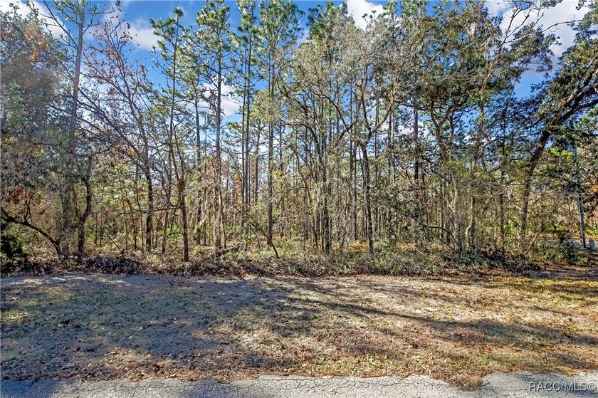 This corner lot property is located in Oak Village of Sugarmill - photo 3