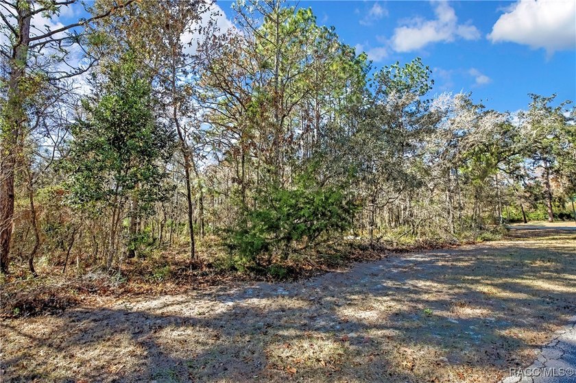 This corner lot property is located in Oak Village of Sugarmill - photo 4