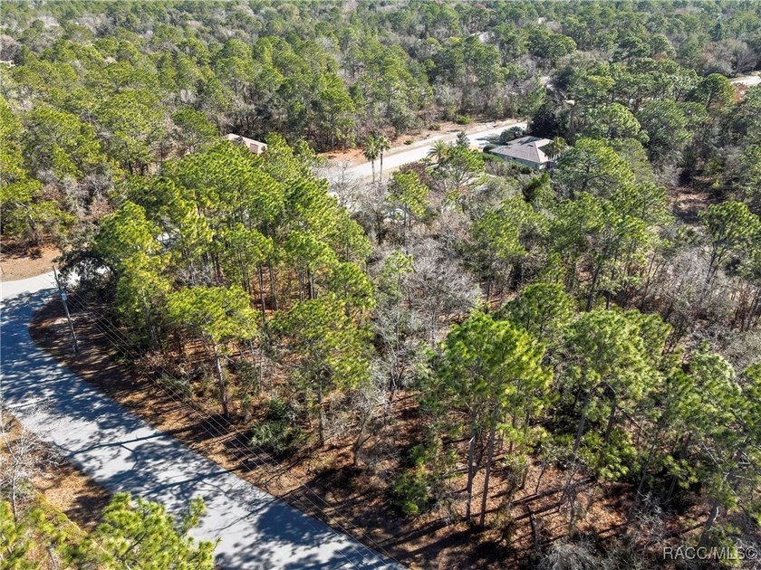 This corner lot property is located in Oak Village of Sugarmill - photo 7