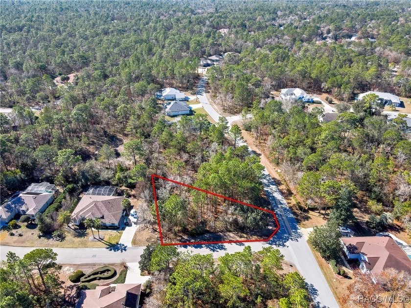 This corner lot property is located in Oak Village of Sugarmill - photo 10