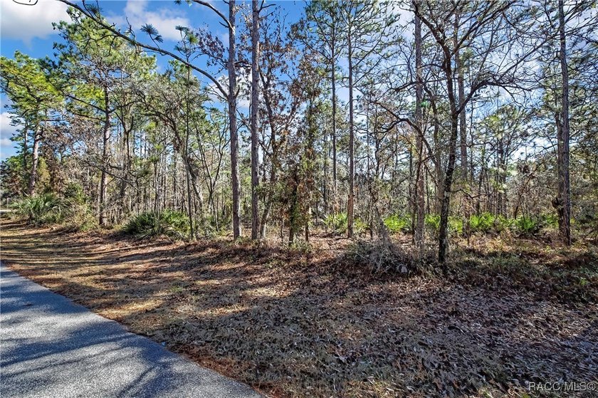 This property is located in Oak Village of Sugarmill Woods which - photo 2