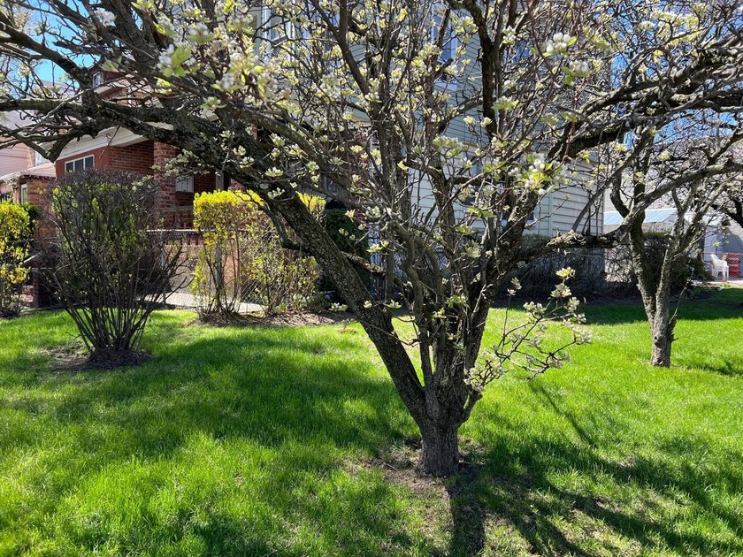 1006 E 31st St - photo 5