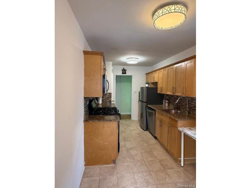Sun-filled, east-facing, well-maintained, spacious apartment - photo 4