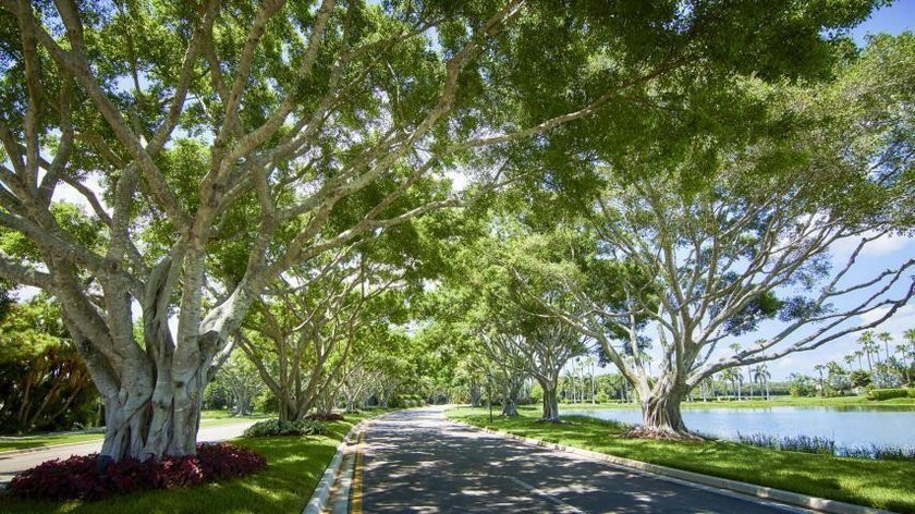 THIS IS THE BEST VALUE for buyer's interested in a PREMIER GOLF - photo 48
