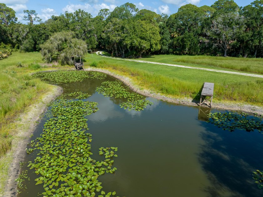 Just listed, this property offers the perfect blend of secluded - photo 8
