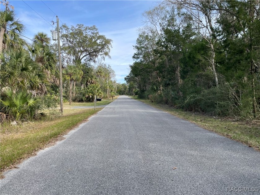 Build your Florida dream in the heart of Old Homosassa! This - photo 2