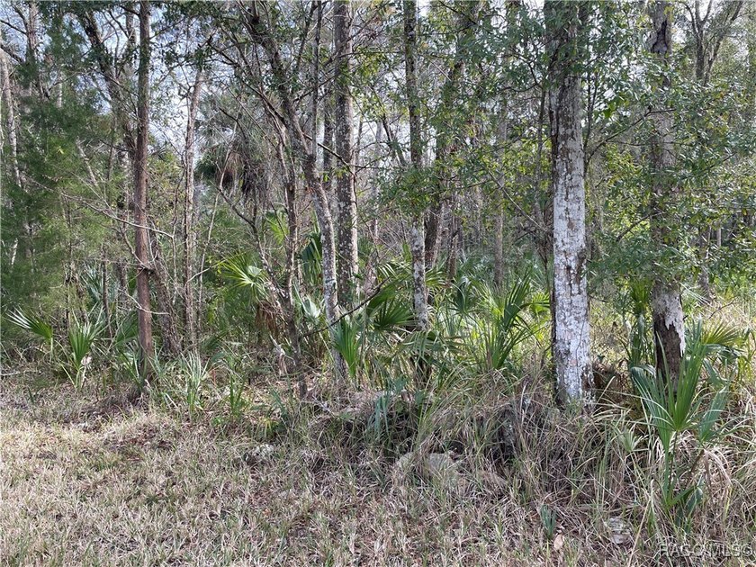 Build your Florida dream in the heart of Old Homosassa! This - photo 3