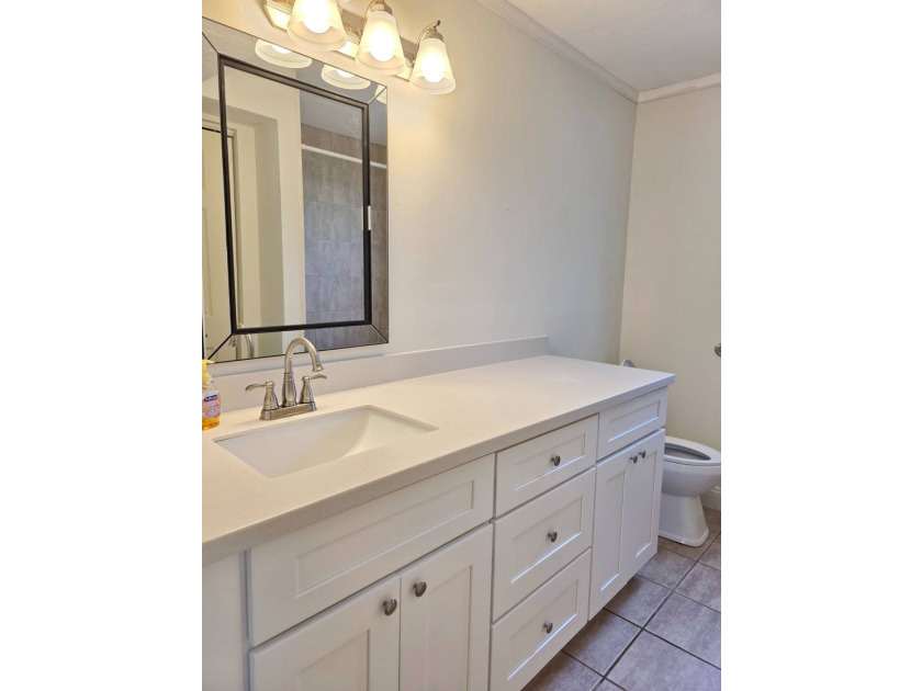 LAKEPORT - WATERFRONT ON BOTH SIDES! Discover this stunning and - photo 21