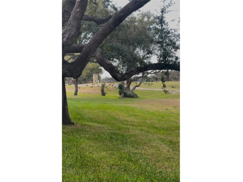 Don't miss this very rare opportunity to own a lot in one of - photo 2