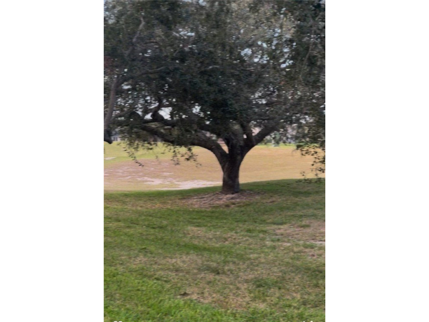 Don't miss this very rare opportunity to own a lot in one of - photo 3
