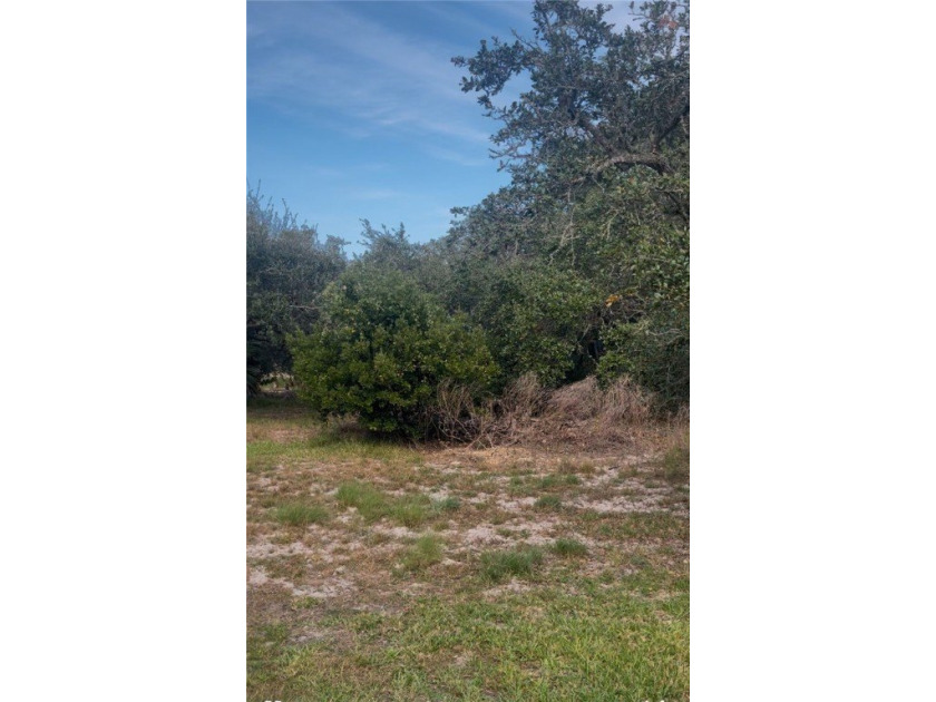 Don't miss this very rare opportunity to own a lot in one of - photo 4