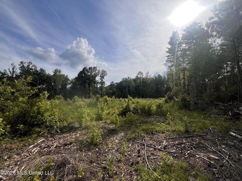 21.09 +/- acres offering a great opportunity for a future home - photo 3