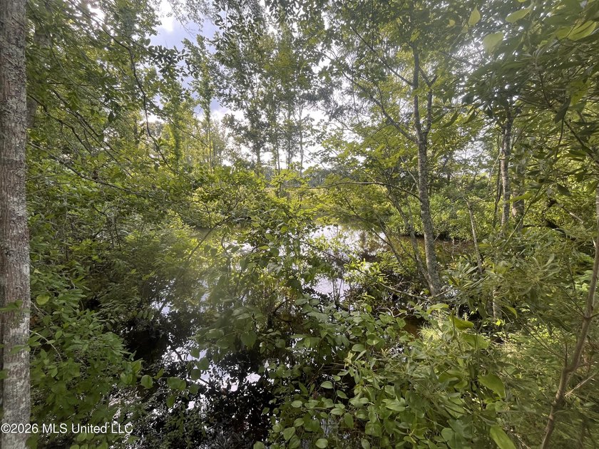 21.09 +/- acres offering a great opportunity for a future home - photo 5