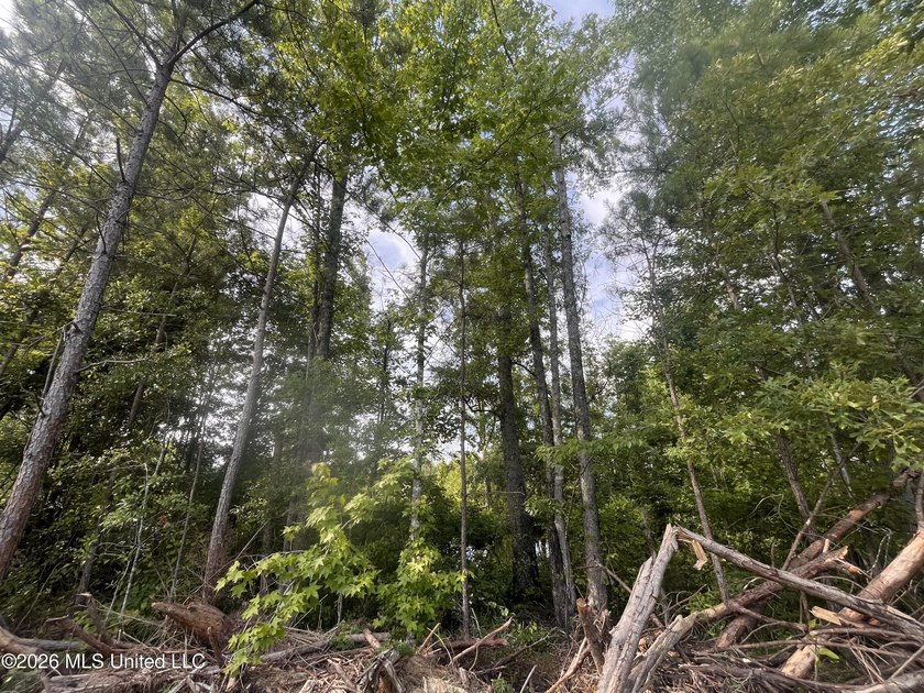 21.09 +/- acres offering a great opportunity for a future home - photo 6