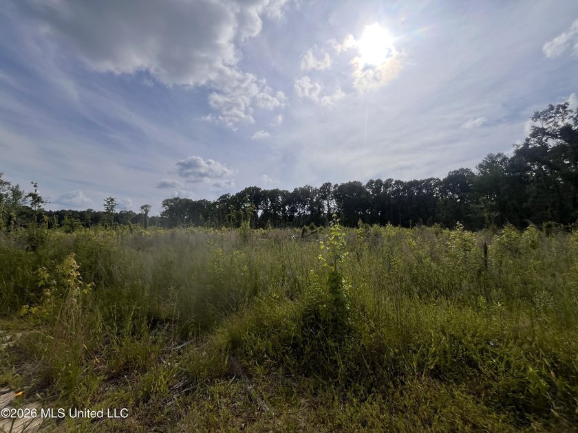 21.09 +/- acres offering a great opportunity for a future home - photo 7