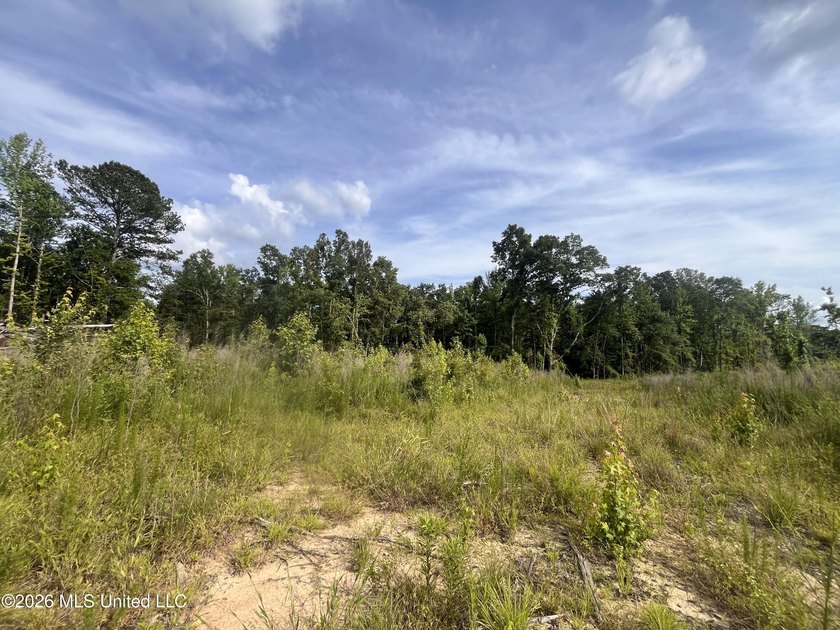 21.09 +/- acres offering a great opportunity for a future home - photo 8