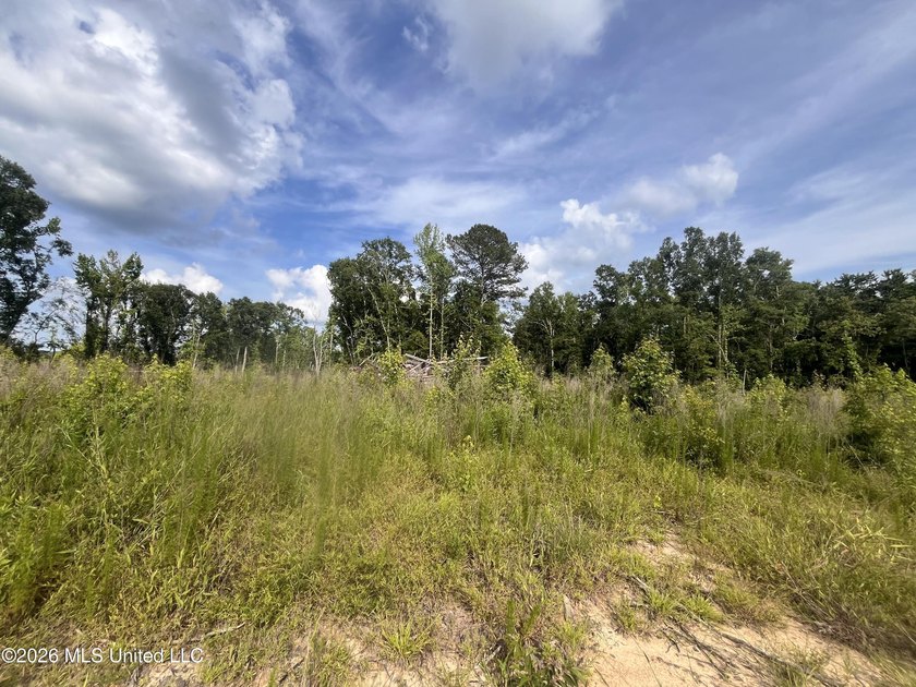 21.09 +/- acres offering a great opportunity for a future home - photo 9