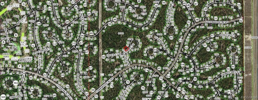 DARE TO COMPARE PRIVACY IN SUGARMILL WOODS! Imagine designing - photo 2