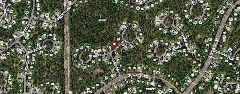 DARE TO COMPARE PRIVACY IN SUGARMILL WOODS! Imagine designing - photo 3