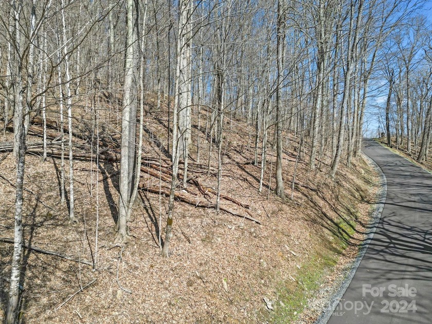 Double Lot on Chestnut Village which is a delightful street w/in - photo 11