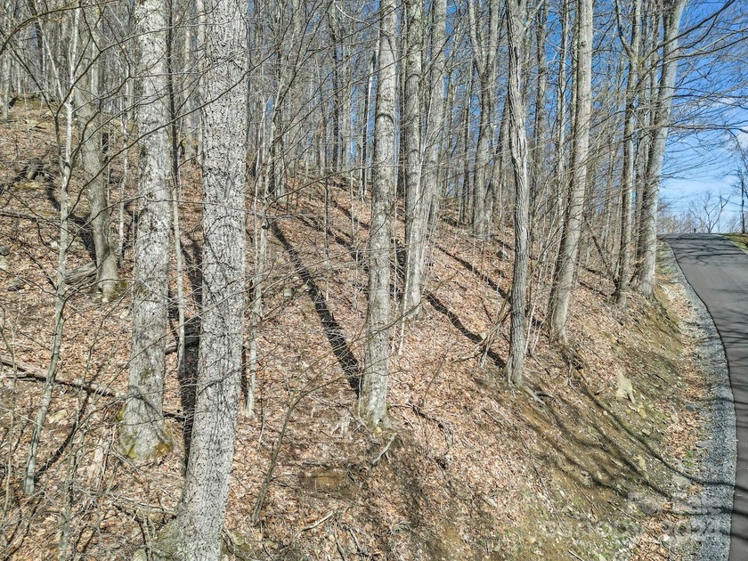 Double Lot on Chestnut Village which is a delightful street w/in - photo 12