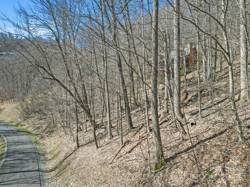 Double Lot on Chestnut Village which is a delightful street w/in - photo 13