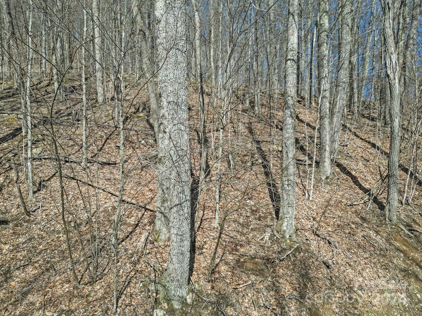 Double Lot on Chestnut Village which is a delightful street w/in - photo 14