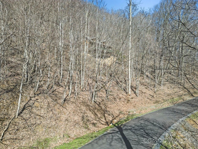 Double Lot on Chestnut Village which is a delightful street w/in - photo 16