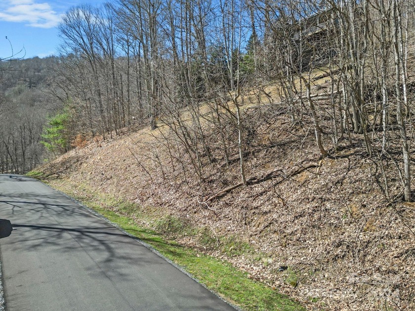 Double Lot on Chestnut Village which is a delightful street w/in - photo 17