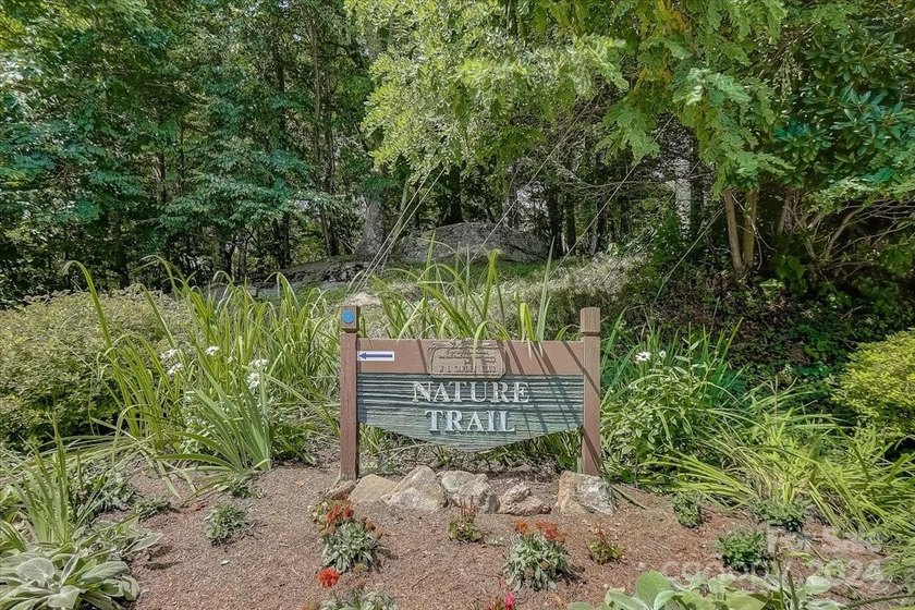 Double Lot on Chestnut Village which is a delightful street w/in - photo 41