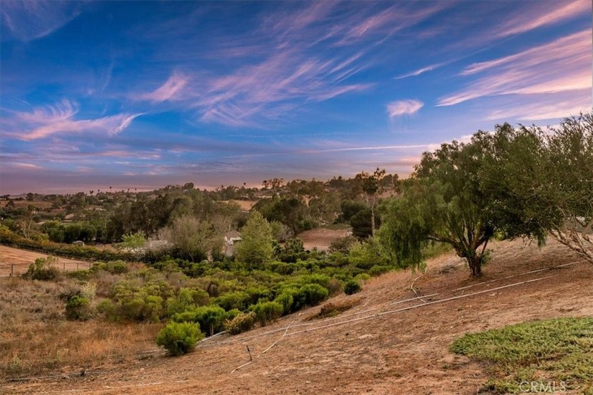 3927 Limber Pine - photo 45