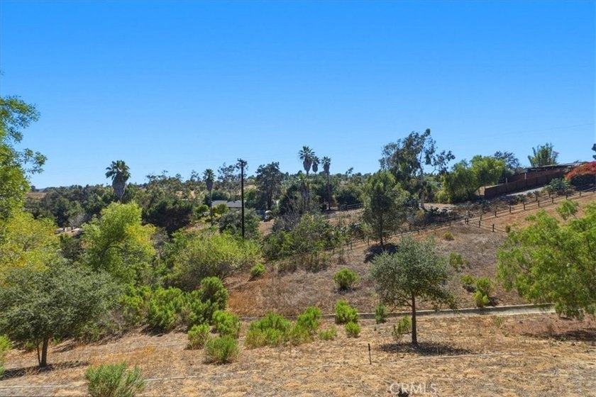 3927 Limber Pine - photo 50