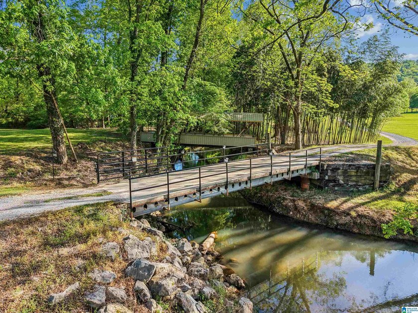 This estate truly embodies the essence of Alabama. Spanning over - photo 4