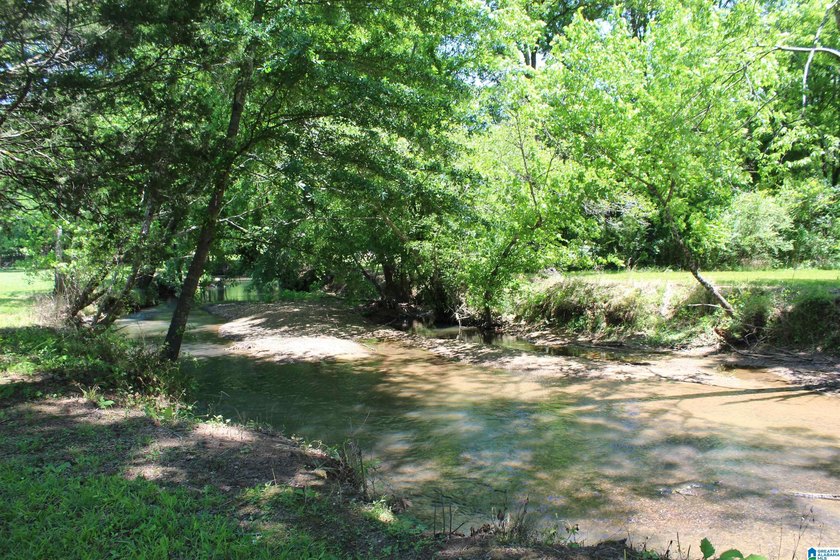 This estate truly embodies the essence of Alabama. Spanning over - photo 6