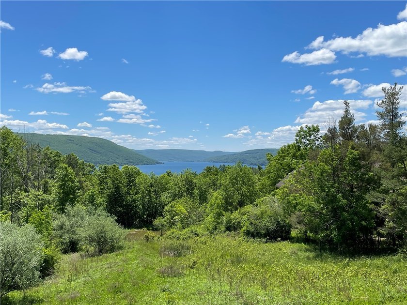 Welcome to this custom-built, quality 2015 residence perfectly - photo 49