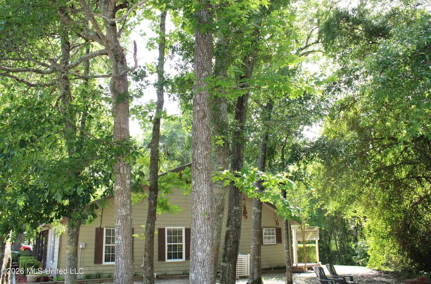 This home features an open floor plan, lots of shade from the - photo 10