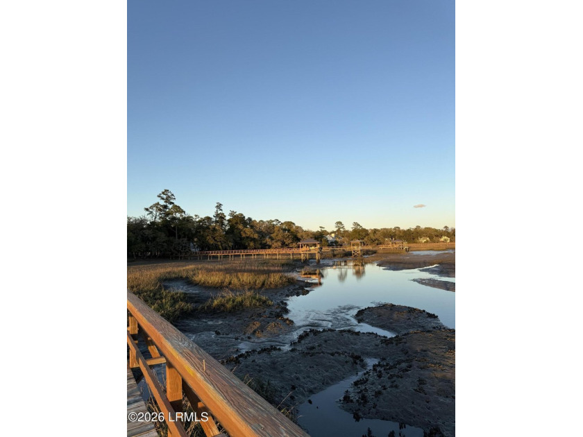 Islands of Beaufort offering an exclusive corner lot on Cotton - photo 22