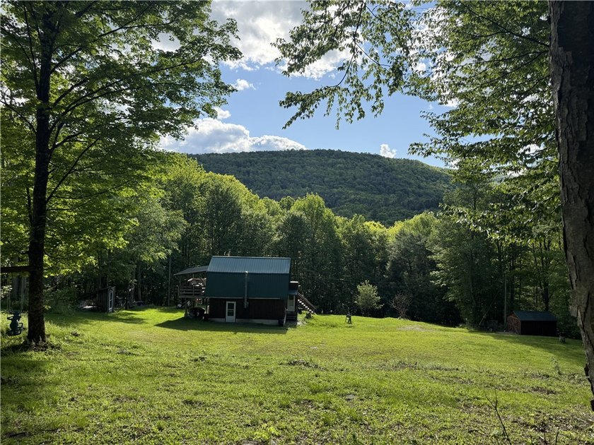 Private Catskills cabin just steps from the Pepacton Reservoir - photo 22