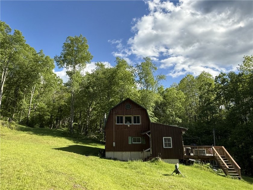 Private Catskills cabin just steps from the Pepacton Reservoir - photo 23