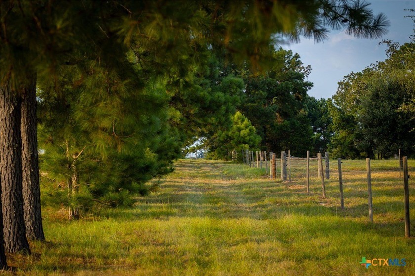 Discover the most enchanting and private 65 acre country estate! - photo 31