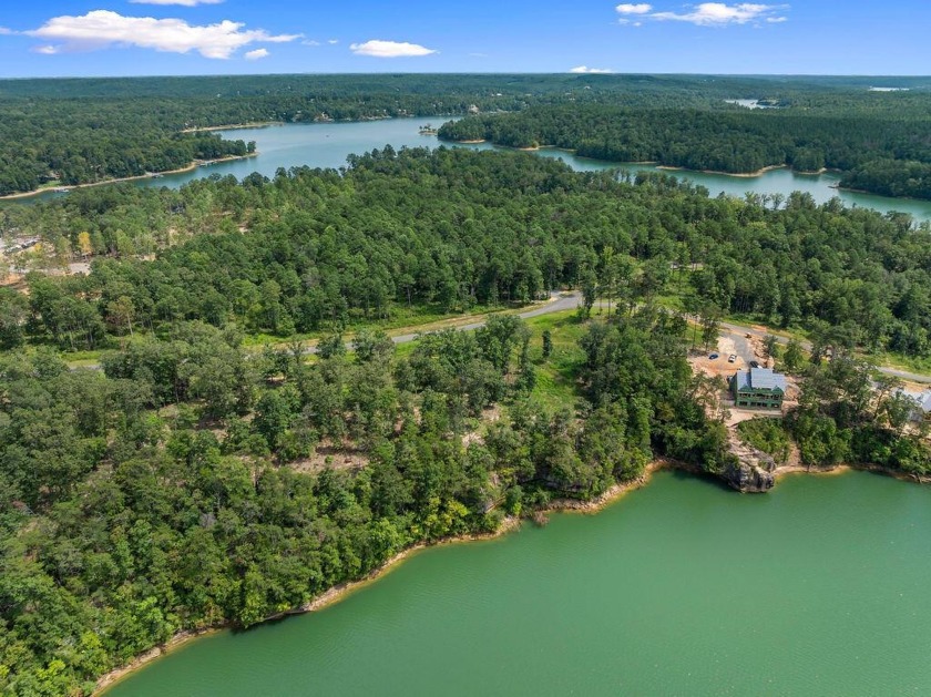 Slick Ford is one of the newest developments on Smith Lake - photo 3