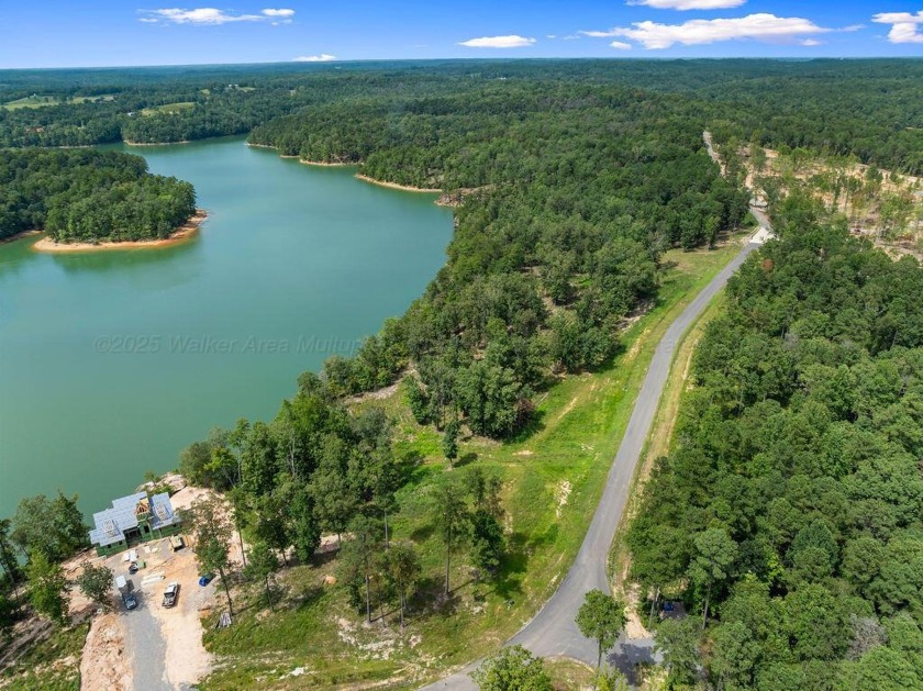Slick Ford is one of the newest developments on Smith Lake - photo 4